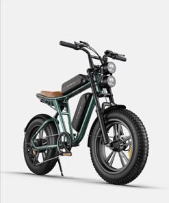 ENGWE M20